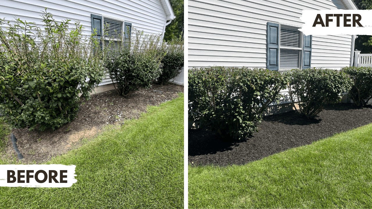Tree and Shrub Trimming (below 17ft)