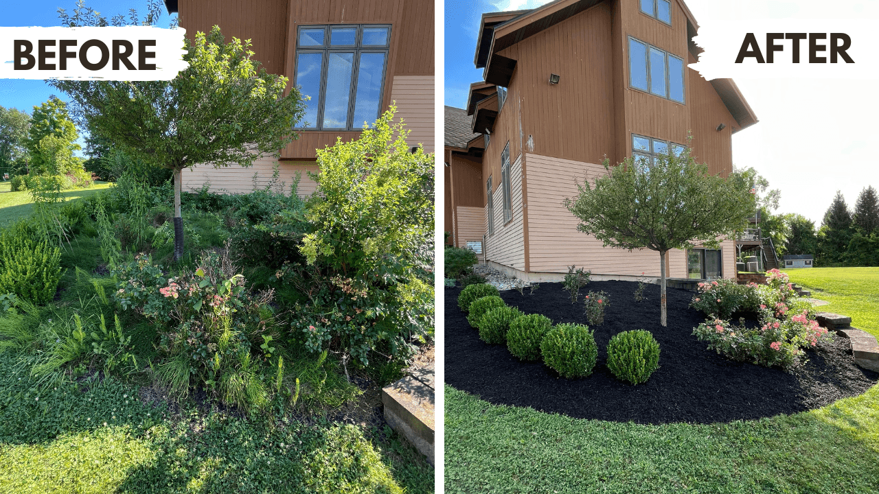 General Landscape & Property Maintenance
