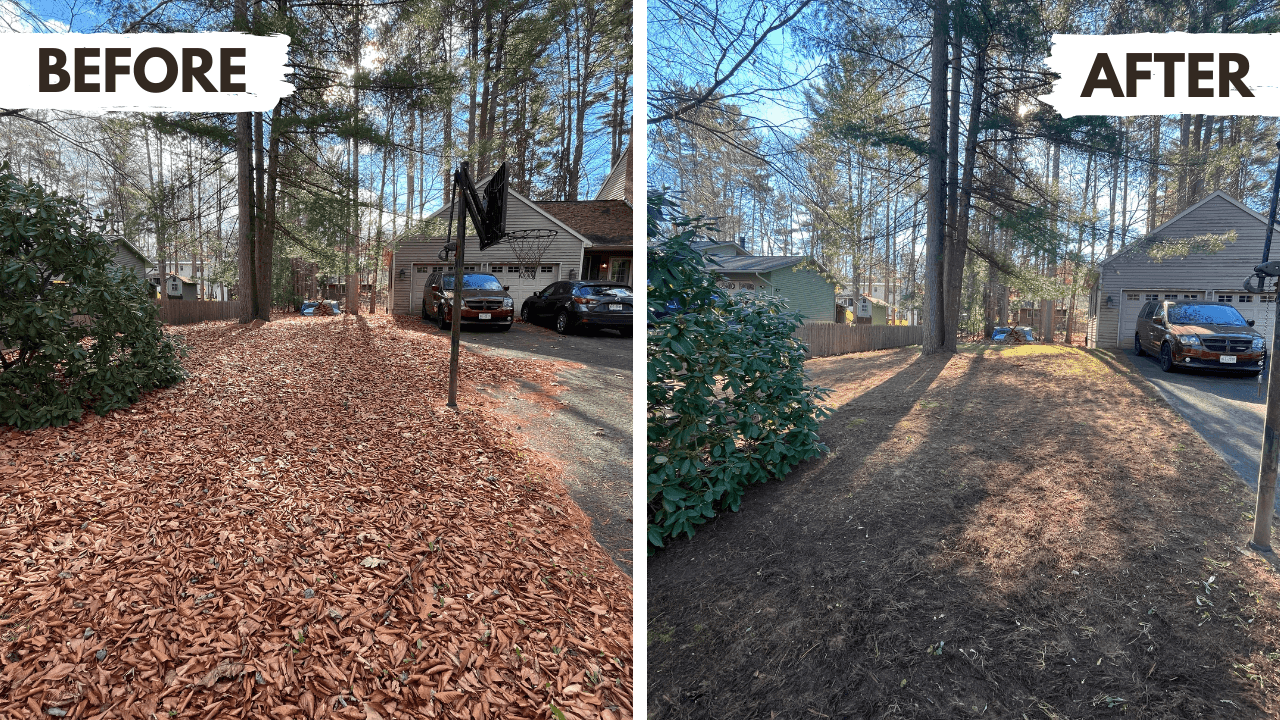 Fall and Spring Clean-Ups